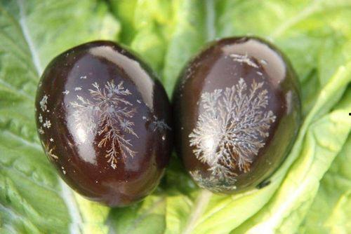 蛋仔皮蛋最新爆料,揭秘最新游戏动态与神秘内容